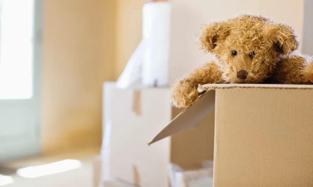 Teddy bear in a moving box